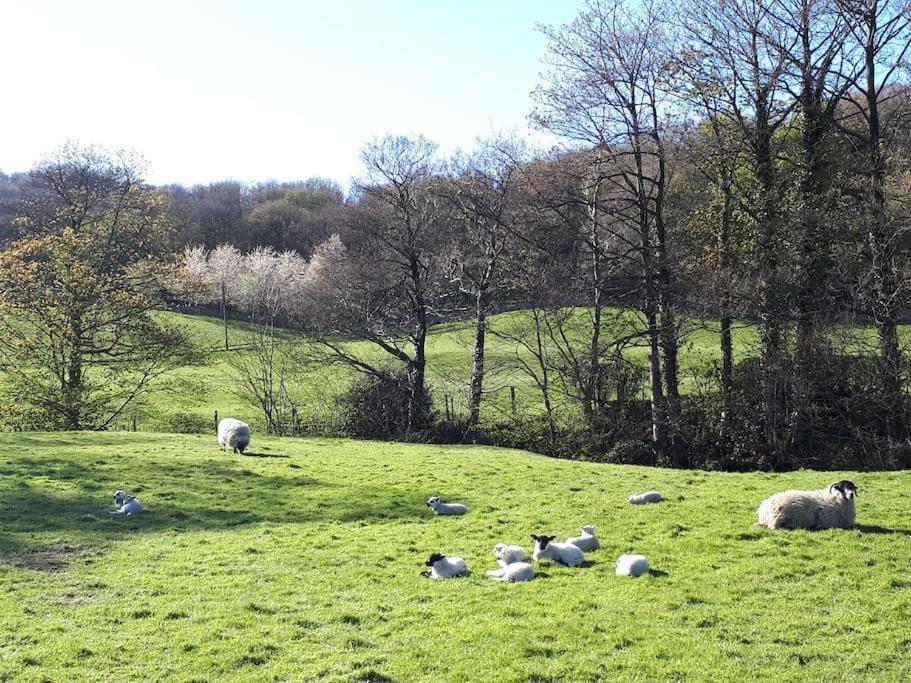 Folly View - Private, Peaceful Apartment With Stunning Views. Pateley Bridge Exterior photo